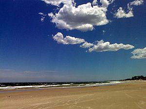 Playa de Araminda - panoramio