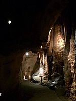 Princess Margaret Rose Caves (Vic), from inside (2016)