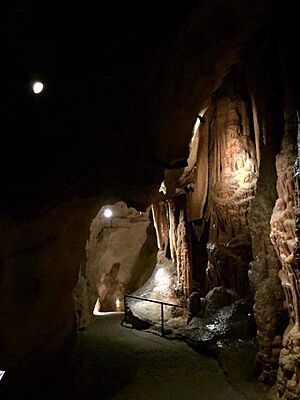 Princess Margaret Rose Caves (Vic), from inside (2016)