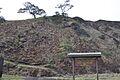 Puu Huluhulu11