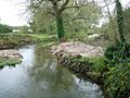 River Itchen - geograph.org.uk - 71945