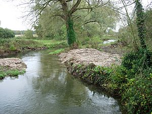 River Itchen - geograph.org.uk - 71945.jpg