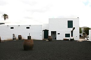 San Bartolomé - LZ30 - El Grifo 06 ies