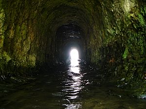 San Vicente Creek tunnel 2