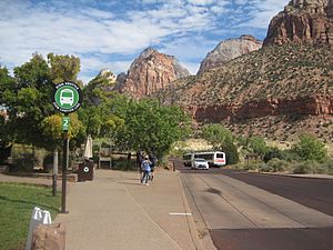 Shuttle bus stop at Zion Canyon National Park