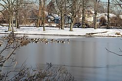 Springfield Park (Queens) in Winter.JPG
