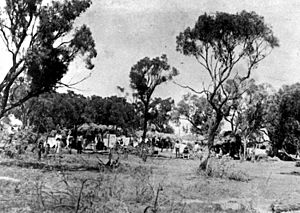 StateLibQld 1 45615 Union camp in Barcaldine during the 1891 Shearers' Strike