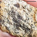 Stone Mtn granodiorite 1
