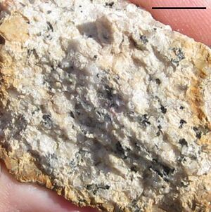 Stone Mtn granodiorite 1