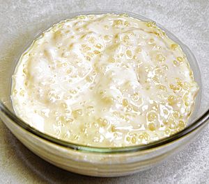 Tapioca pudding-3