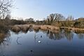 Tewinbury 4