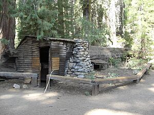 Tharpe's log