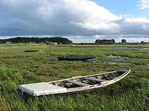 Traditional fishing boats at The Crook, Mornington - geograph.org.uk - 557793