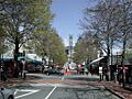 Trafalger Street and Nelson Cathedral