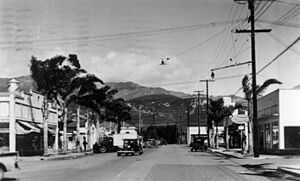 Upper Linden Ave looking North