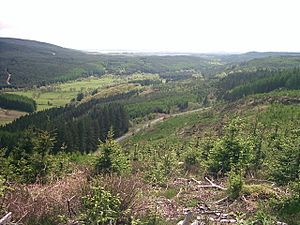 View from Talnotrie Hill - geograph.org.uk - 50158