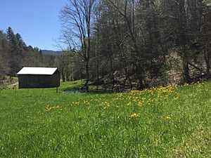 View of a meadow with tobacco barn in background. 