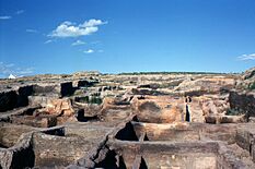 Çatalhöyük after the first excavations by James Mellaart and his team.