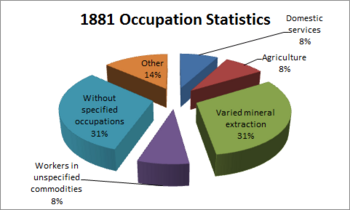 1881 Occupation statistics