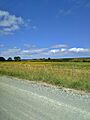 20221230 115813 Okahukura Road, Tapora