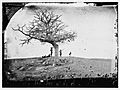 A Lonely Grave, Antietam 1862