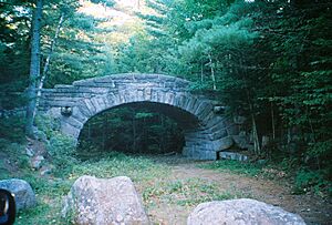 Acadia bridge