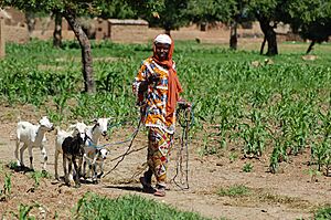 Asseta Lompo with her goats