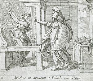 Athena Changing Arachne into a Spider LACMA 65.37.138