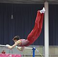 Austrian Future Cup 2018-11-24 Group 3 Rotation 6 Horizontal bar (Martin Rulsch) 166