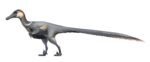 Austroraptor Restoration