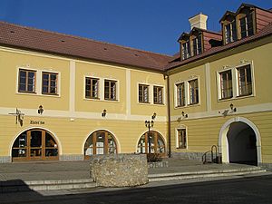 Beňovského kúria, Vrbové (2008)