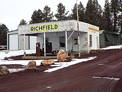 The Richfield Service Station