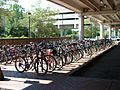 Bicycle parking at Alewife station, August 2001