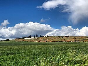 Bodegas de coomonte