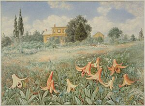 Brooklyn Museum - West Nyack, New York - John William Hill - overall