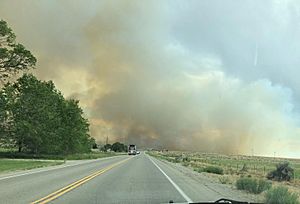 Brown Fire - 2020 06 25-12.33.11.890-CDT.jpg