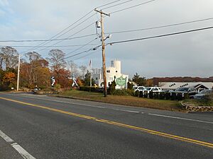 Casa Basso in Westhampton, New York-3