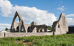 Castledermot Friary NW 2013 09 06