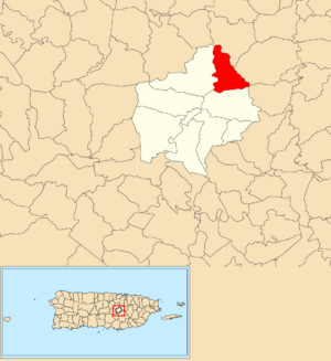 Location of Cedrito within the municipality of Comerío shown in red