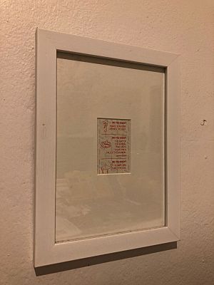 Chappie "Did You Know" fact, framed.jpg