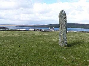 Clivocast standing stone (geograph 3466960).jpg