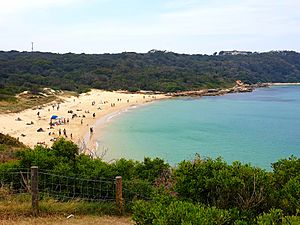 Congwong-Beach-southern-Sydney-landscape