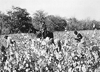 Cotton pickers and overseer around 1850