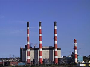 CourtenayBaySmokestacks