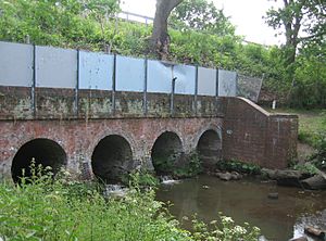 Cove Brook passing under the railway (geograph 4517578)