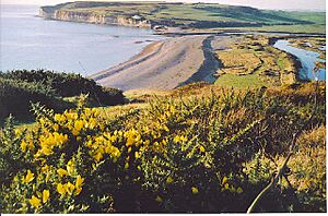 Cuckmere Haven from Cliff End - geograph.org.uk - 116544