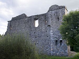 DH Kindlestown Castle 1