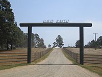 Davis Ranch, Big Sandy, Texas IMG 5292