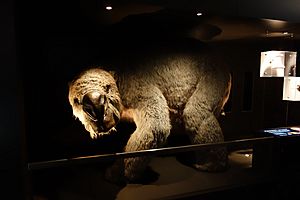 Diprotodon sculpture