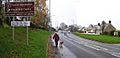 Dog walking, Hospital Road, Omagh - geograph.org.uk - 1048920